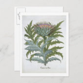 De Cardoon van de "Hortus Eystettensis" door Bas Briefkaart (Voorkant / Achterkant)