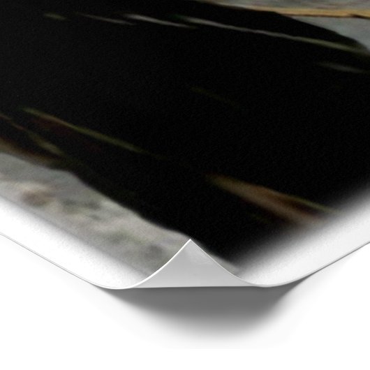 De Carthage Chronicles Poster reeks 3 (Hoek)