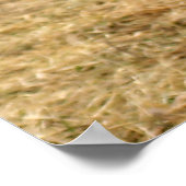 De Cartoon Wolf Shot Poster (Hoek)