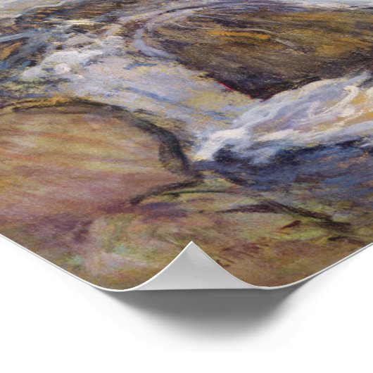 De cascade poster (Hoek)