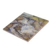 De cascade tegeltje (Zijkant)