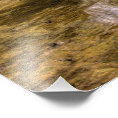 De cascades bij Glen Helen Natuur Reserve, Ohio Foto Afdruk (Hoek)