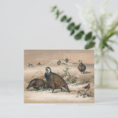 De Caspian Snow-Partridge van Joseph Wolf Briefkaart (Staand voorkant)