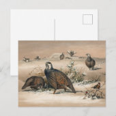 De Caspian Snow-Partridge van Joseph Wolf Briefkaart (Voorkant / Achterkant)