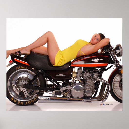 De cassie Z1 en model Poster (Voorkant)