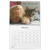 DE CAT-kalender BEKIJKEN Kalender (Feb 2027)