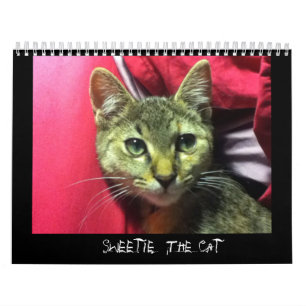 DE CAT-kalender BEKIJKEN Kalender