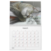 DE CAT-kalender BEKIJKEN Kalender (Mar 2026)