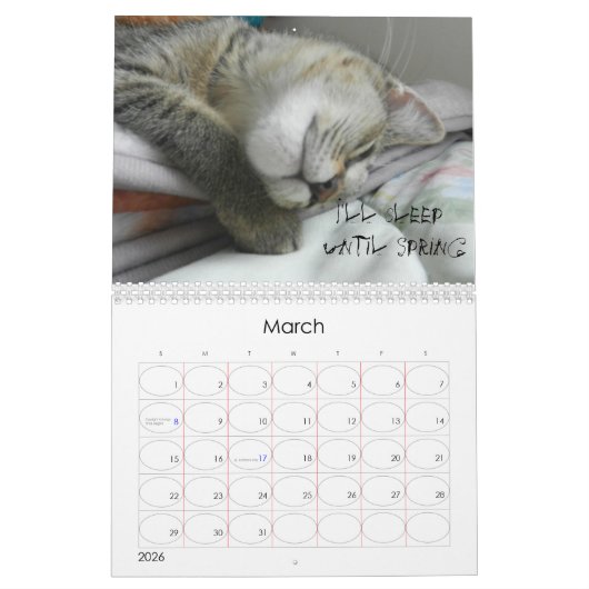 DE CAT-kalender BEKIJKEN Kalender (Mar 2026)
