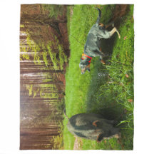 De Catahoula en de Wild Hog Fleece Deken