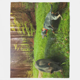 De Catahoula en de Wild Hog Fleece Deken