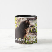 DE CATEGORIEËN ZIJN VOORGESCHREVEN KOFFIE MOK (Midden)