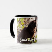 DE CATEGORIEËN ZIJN VOORGESCHREVEN KOFFIE MOK (Voorkant links)