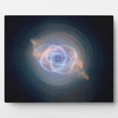 De Cats Eye-nevel 10x8 Fotoplaat (Voorkant)