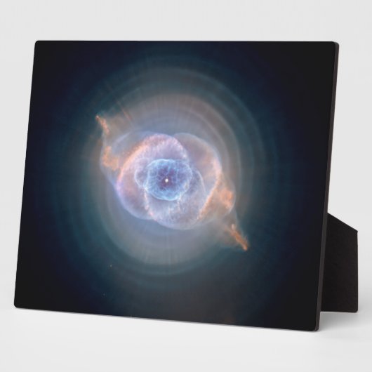 De Cats Eye-nevel 10x8 Fotoplaat (Zijkant)