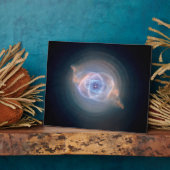 De Cats Eye-nevel 10x8 Fotoplaat (Zijkant)