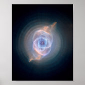 De Cats Eye-nevel 8x10 Poster (Voorkant)