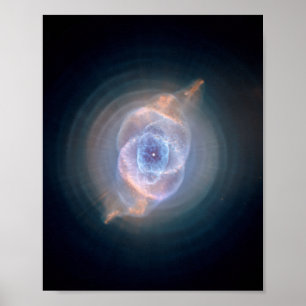 De Cats Eye-nevel 8x10 Poster