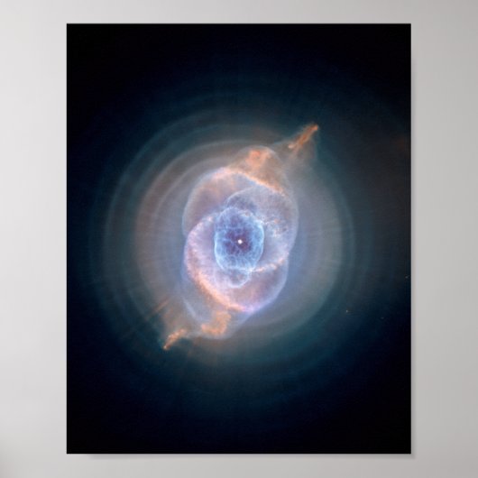 De Cats Eye-nevel 8x10 Poster (Voorkant)