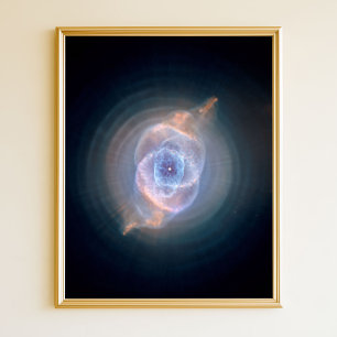 De Cats Eye-nevel 8x10 Poster