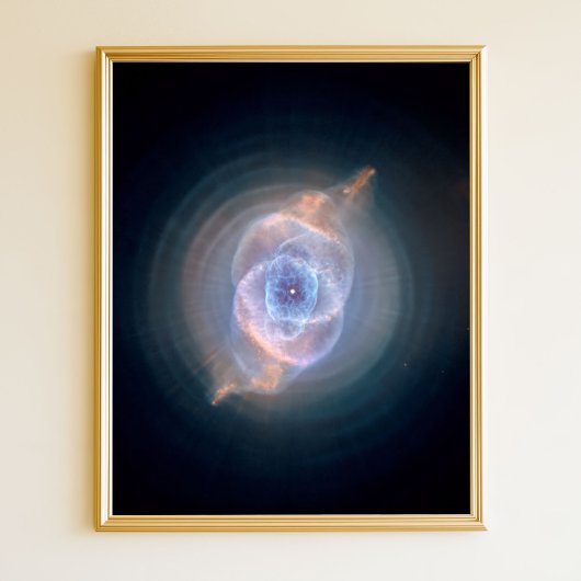 De Cats Eye-nevel 8x10 Poster