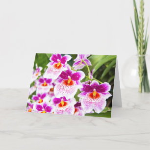 De Cattleya Fushia & Witte Orchideeën Wenskaart Kaart