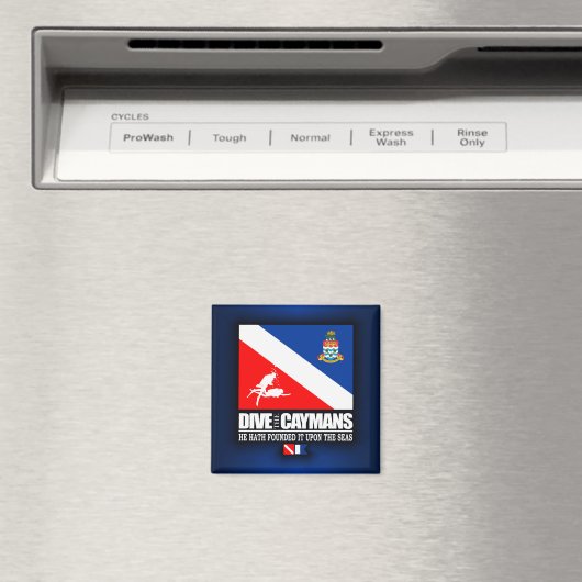 De Caymans duiken Magneet (Insitu (Vaatwasser))