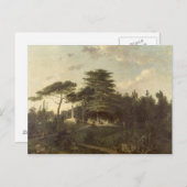 De Cedar van Libanon in de Jardin des Plantes Briefkaart (Voorkant / Achterkant)