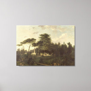 De Cedar van Libanon in de Jardin des Plantes Canvas Afdruk