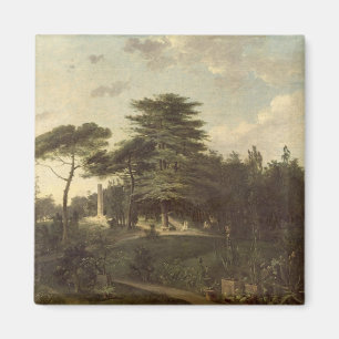 De Cedar van Libanon in de Jardin des Plantes Magneet
