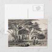 De Cedars van Libanon, gegraveerd door Freeman (se Briefkaart (Voorkant / Achterkant)