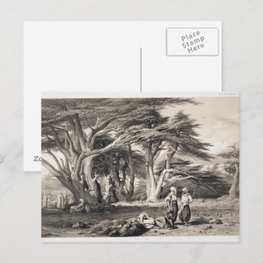 De Cedars van Libanon, gegraveerd door Freeman (se Briefkaart (Voorkant / Achterkant)