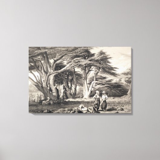 De Cedars van Libanon, gegraveerd door Freeman (se Canvas Afdruk (Voorkant)
