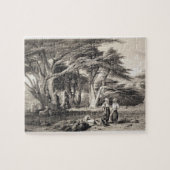 De Cedars van Libanon, gegraveerd door Freeman (se Legpuzzel (Horizontaal)