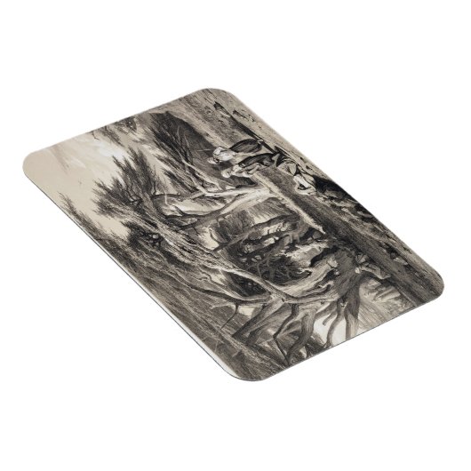 De Cedars van Libanon, gegraveerd door Freeman (se Magneet (Rechterzijde)