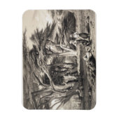 De Cedars van Libanon, gegraveerd door Freeman (se Magneet (Verticaal)