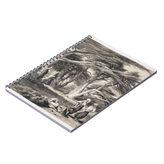 De Cedars van Libanon, gegraveerd door Freeman (se Notitieboek (Linkerzijde)