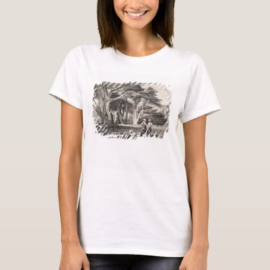 De Cedars van Libanon, gegraveerd door Freeman (se T-shirt (Voorkant)