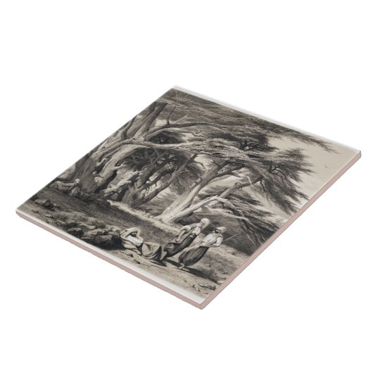 De Cedars van Libanon, gegraveerd door Freeman (se Tegeltje (Zijkant)