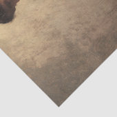 De cellist (door Joseph DeCamp) Tissuepapier (Detail)