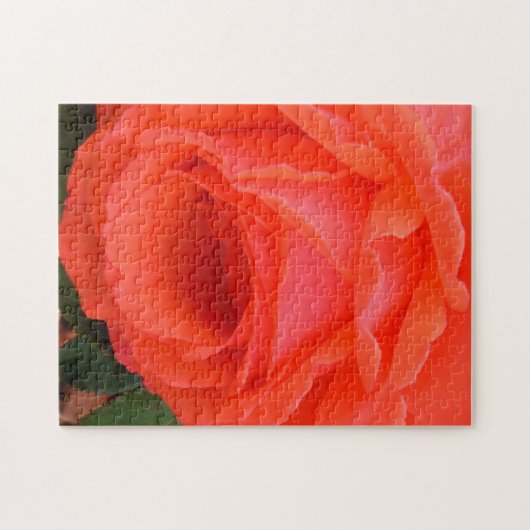 De cent van de Roos Puzzle Legpuzzel (Horizontaal)