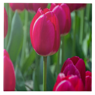 De ceramiektegel van tulpen tegeltje