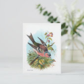 De Chaffinch Briefkaart (Staand voorkant)