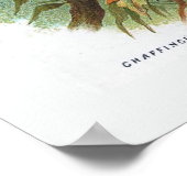 De Chaffinch Poster (Hoek)