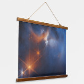 De Chamaeleon is een donkere moleculaire wolk Hangend Wandkleed (Gebogen)