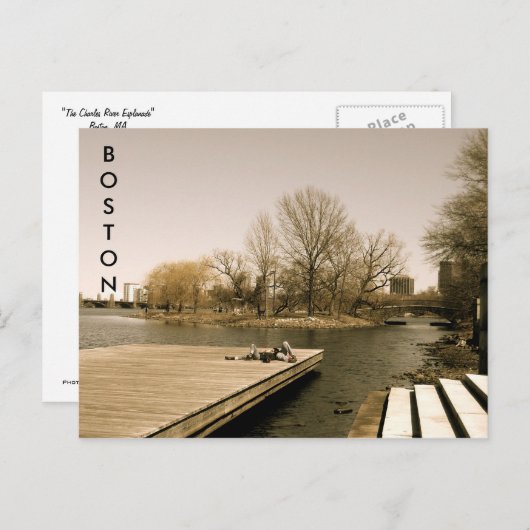 De Charles River Esplanade (sepia) Briefkaart (Voorkant / Achterkant)