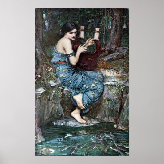 De Charmer - Waterhuis Poster (Voorkant)