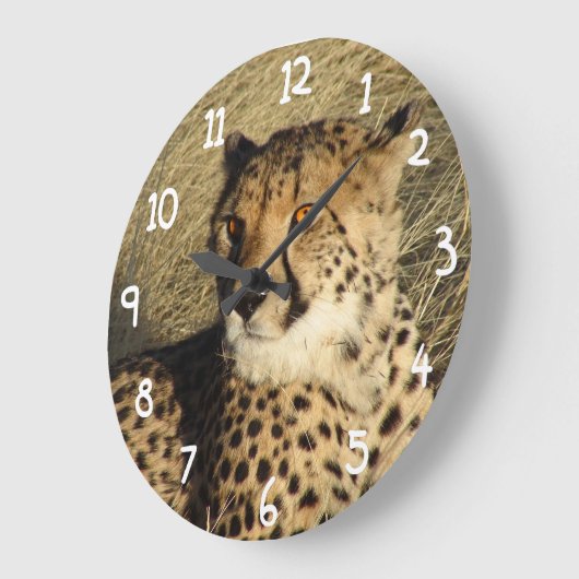 De Cheetah Grote Klok (Hoek)