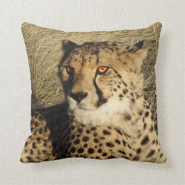 De Cheetah Kussen