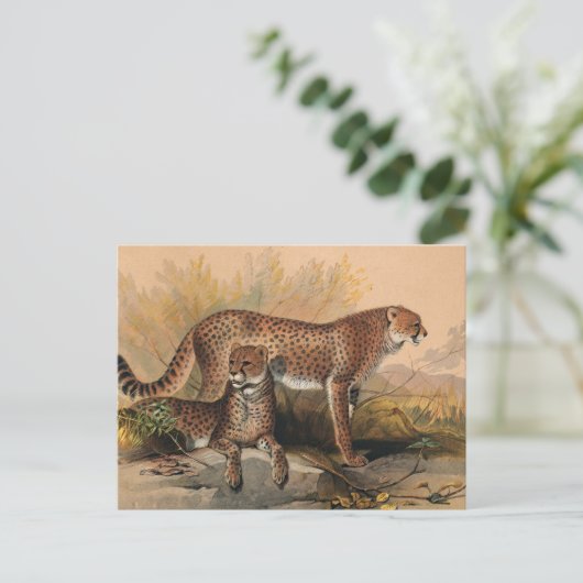 De Cheetah van Joseph Wolf Briefkaart (Staand voorkant)